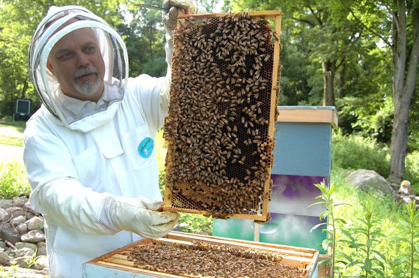 Le métier d'apiculteur dans toute sa splendeur !