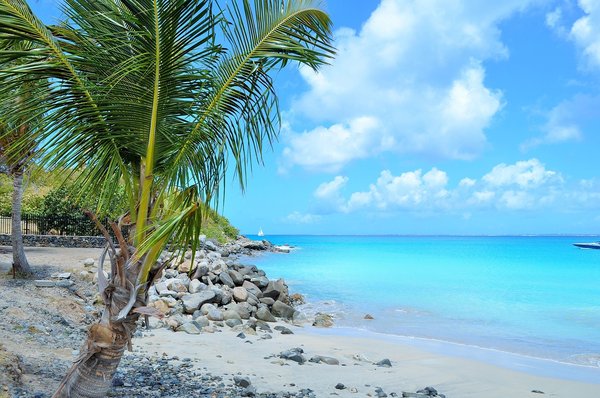 Voyage en Martinique : les activités à ne pas rater