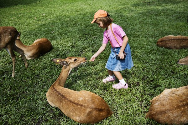 Le Zoo de la Flèche, une institution au cœur de la Sarthe